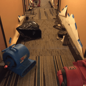 Hotel water extraction and wall repair